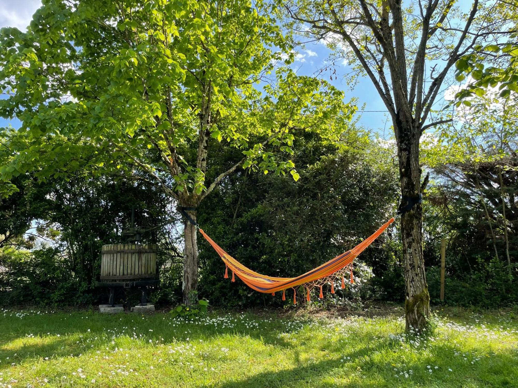 Le Clos des Trois Provinces, Zoo de Beauval Noyers-sur-Cher Exterior foto